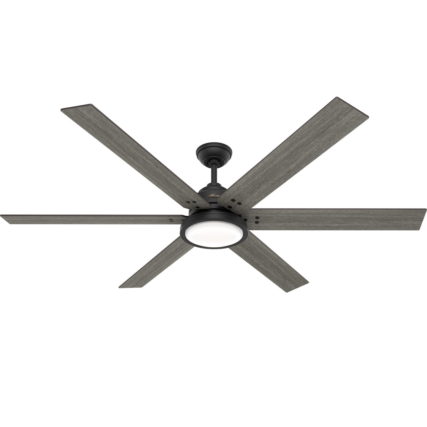 Hunter Fan Warrant Ceiling Fan with Light in Matte Black